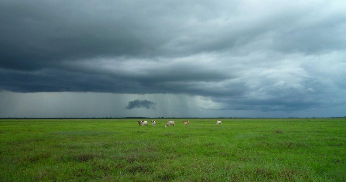 植毛クリニックの口コミ・評判の正しい見方｜ステマに騙されないポイント