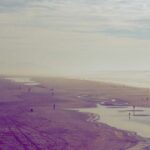 植毛クリニックランキング別費用比較｜安いクリニックと高いクリニックの差