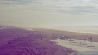 植毛クリニックランキング別費用比較｜安いクリニックと高いクリニックの差