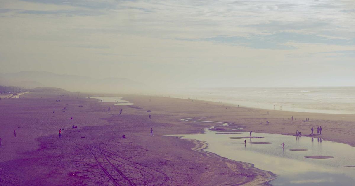 植毛クリニックランキング別費用比較｜安いクリニックと高いクリニックの差