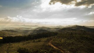 植毛1グラフトの単価相場｜クリニック別・手術法別の費用比較