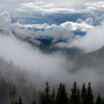 植毛手術の費用を安くする方法｜モニター・キャンペーン・医療ローン活用術