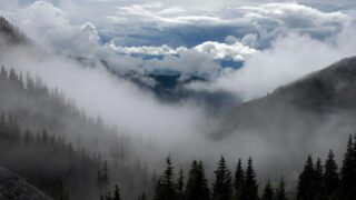 植毛手術の費用を安くする方法｜モニター・キャンペーン・医療ローン活用術