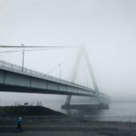 植毛2000グラフトの費用相場｜M字はげ・頭頂部薄毛への対応費用