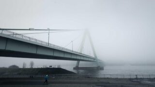 植毛2000グラフトの費用相場｜M字はげ・頭頂部薄毛への対応費用