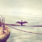 仙台の植毛クリニックおすすめ|東北エリアで植毛を受ける完全ガイド