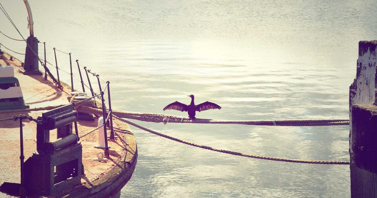 仙台の植毛クリニックおすすめ｜東北エリアで植毛を受ける完全ガイド