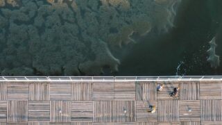 横浜の植毛クリニックおすすめ｜神奈川エリアで植毛を受ける完全ガイド