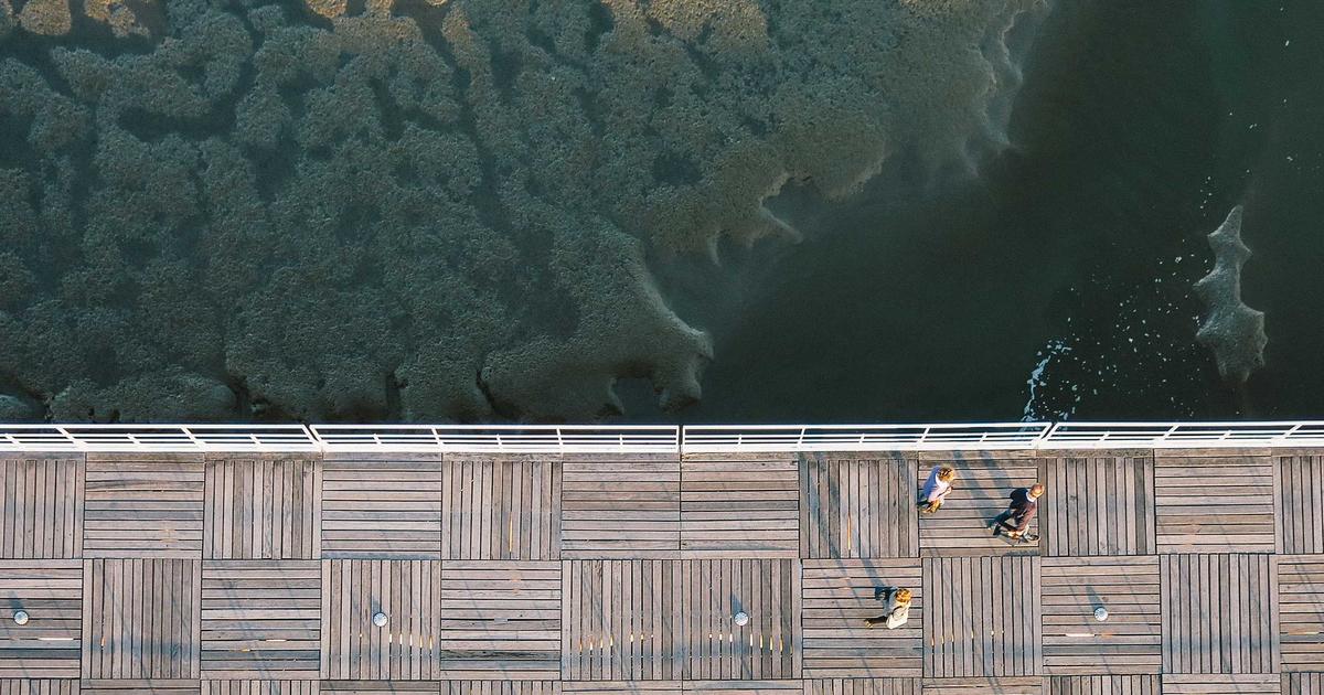 横浜の植毛クリニックおすすめ｜神奈川エリアで植毛を受ける完全ガイド