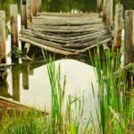 京都の植毛クリニックおすすめ｜近畿エリアで植毛を受ける完全ガイド