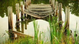 京都の植毛クリニックおすすめ｜近畿エリアで植毛を受ける完全ガイド