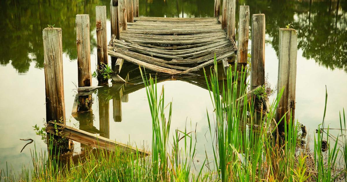 京都の植毛クリニックおすすめ｜近畿エリアで植毛を受ける完全ガイド