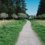 岡山の植毛クリニックおすすめ｜中国エリアで植毛を受ける完全ガイド