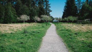 岡山の植毛クリニックおすすめ｜中国エリアで植毛を受ける完全ガイド