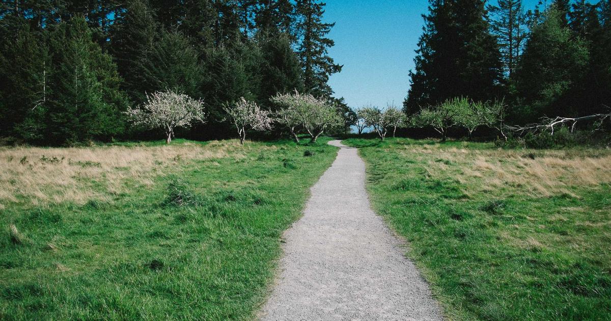 岡山の植毛クリニックおすすめ｜中国エリアで植毛を受ける完全ガイド