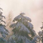 熊本の植毛クリニックおすすめ｜九州エリアで植毛を受ける完全ガイド