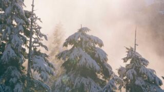 熊本の植毛クリニックおすすめ｜九州エリアで植毛を受ける完全ガイド