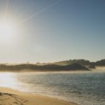 サファイアFUE植毛|従来のFUEとの違いと費用・効果を解説