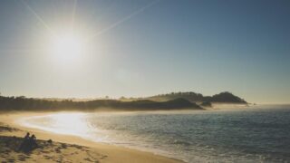 サファイアFUE植毛｜従来のFUEとの違いと費用・効果を解説