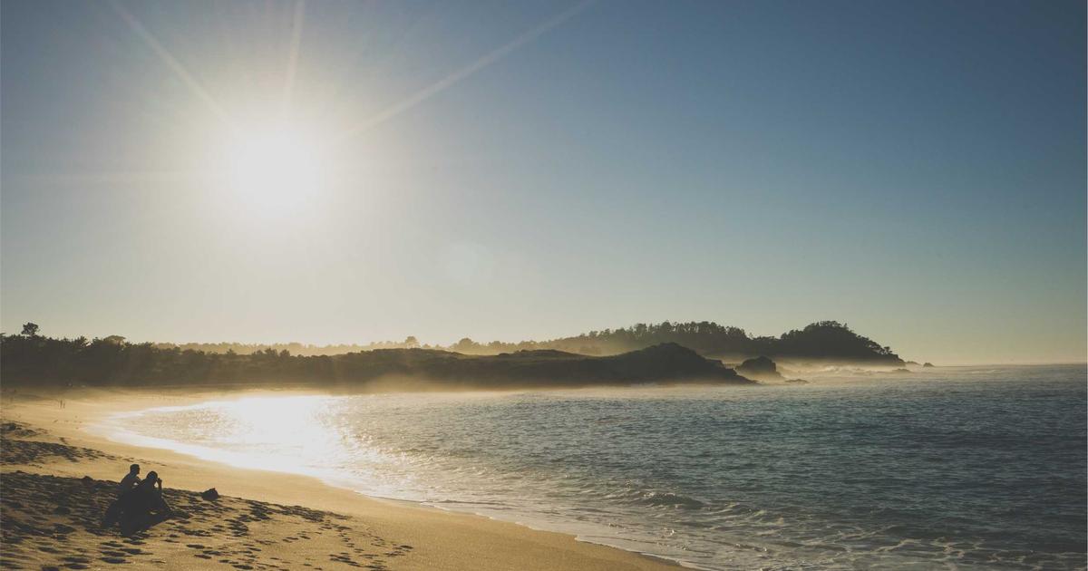 サファイアFUE植毛｜従来のFUEとの違いと費用・効果を解説