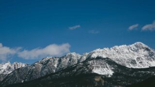 植毛の定着率を最大化する方法｜術前・術中・術後のケア完全ガイド【2026年】