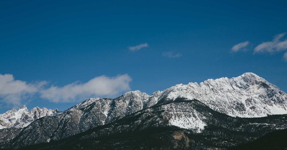 植毛の定着率を最大化する方法｜術前・術中・術後のケア完全ガイド