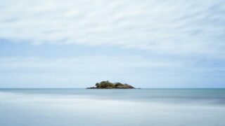 植毛のシェディング（脱落）とは？いつまで続く？対処法を解説【2026年】