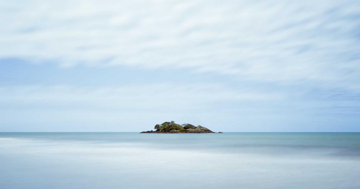 植毛のシェディング（脱落）とは？いつまで続く？対処法を解説