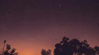 植毛とPRP療法の組み合わせ｜定着率を高める最新アプローチ【2026年】