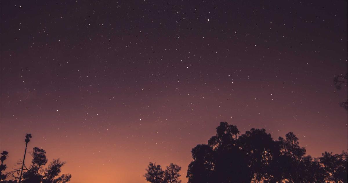 植毛とPRP療法の組み合わせ｜定着率を高める最新アプローチ