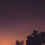 20代の植毛｜若い世代の薄毛・AGAへの植毛治療ガイド