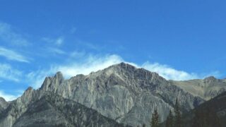 会社員・サラリーマンの植毛｜仕事を休まず植毛する方法【2026年】