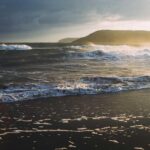 自営業・フリーランスの植毛｜ダウンタイムの管理と確定申告での活用