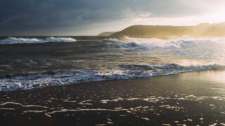 自営業・フリーランスの植毛｜ダウンタイムの管理と確定申告での活用【2026年】