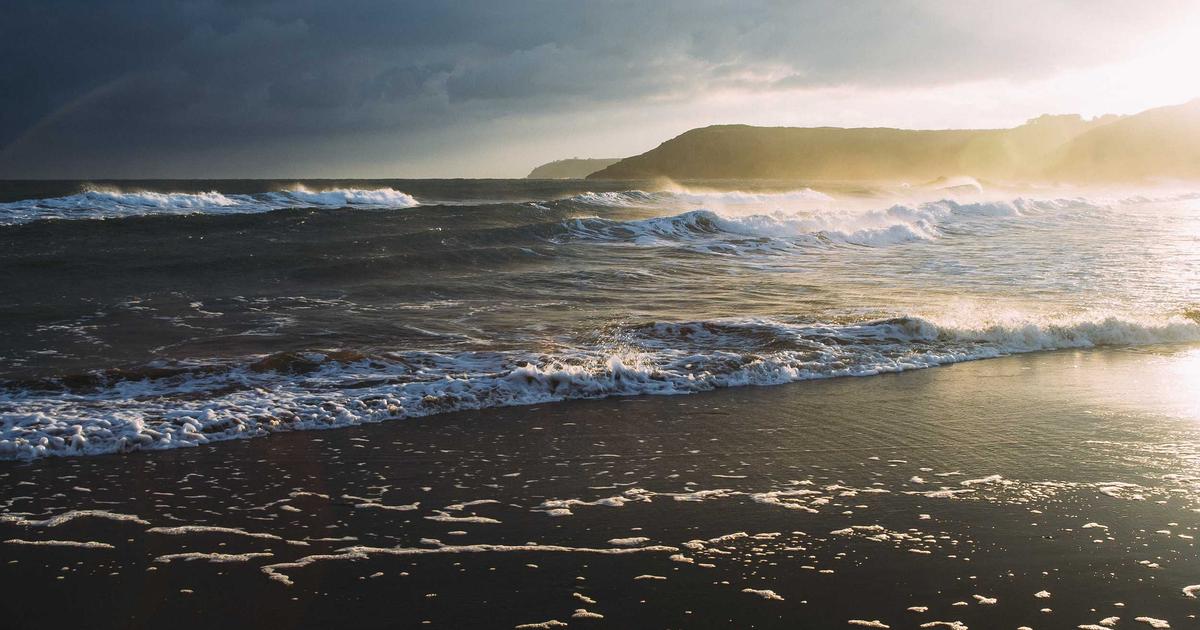 自営業・フリーランスの植毛｜ダウンタイムの管理と確定申告での活用