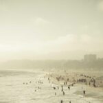 転職前・就職前の植毛｜面接に間に合う？タイムラインで解説