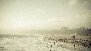 転職前・就職前の植毛｜面接に間に合う？タイムラインで解説【2026年】