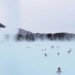 植毛の定着率が低い場合の原因と対策