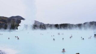 植毛の定着率が低い場合の原因と対策【2026年】