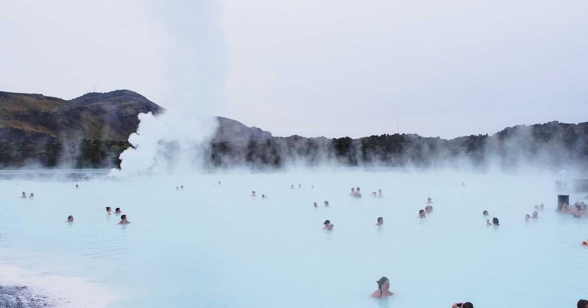 植毛の定着率が低い場合の原因と対策