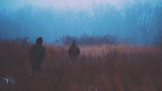 植毛したのに再び薄くなった場合の対処法【2026年】