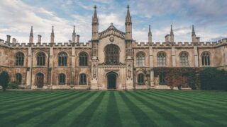 植毛の痛みが想定以上だった場合の対処法【2026年】