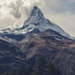 植毛後1ヶ月の経過報告｜シェディング前後の変化と生活制限解除