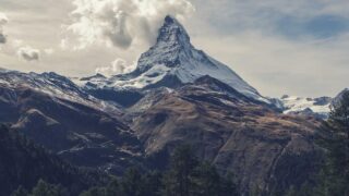 植毛後1ヶ月の経過報告｜シェディング前後の変化と生活制限解除【2026年】