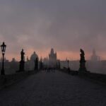 植毛後のスカルプケア方法｜定着率を維持する頭皮管理ガイド