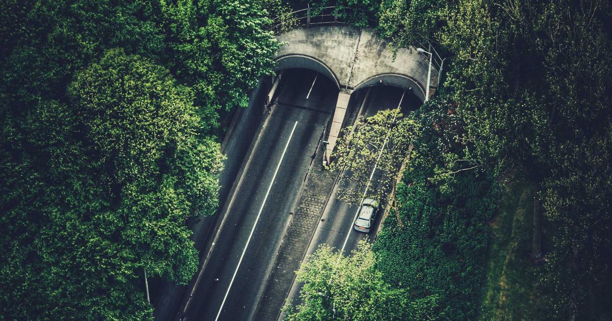 植毛後にやってはいけないこと10選｜定着率を下げるNG行動