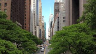 植毛後のヘアスタイリング完全ガイド｜いつから整髪料・ドライヤーOK？【2026年】