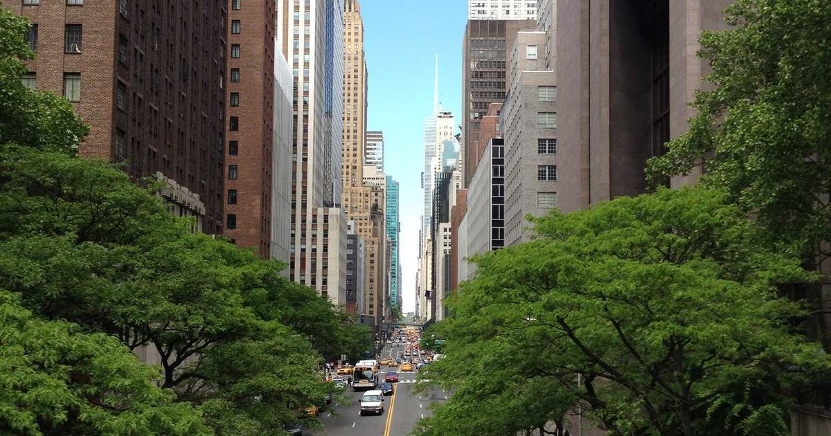 植毛後のヘアスタイリング完全ガイド｜いつから整髪料・ドライヤーOK？