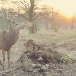 植毛後の日焼け・紫外線対策｜移植部位を守るUV対策ガイド