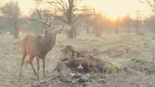 植毛後の日焼け・紫外線対策｜移植部位を守るUV対策ガイド【2026年】